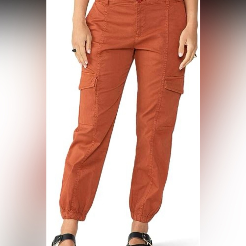 Sanctuary Rebel jogger pants NWT’s brand new never worn in dark orange/rust
